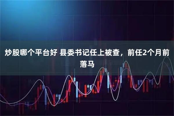 炒股哪个平台好 县委书记任上被查，前任2个月前落马