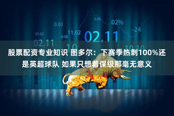 股票配资专业知识 图多尔：下赛季热刺100%还是英超球队 如果只想着保级那毫无意义