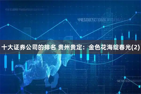 十大证券公司的排名 贵州贵定：金色花海绽春光(2)